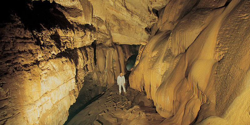 La plus grande et la plus belle grotte de Bosnie-Herzgovie. Un site naturel dune richesse biologique exceptionnelle qui renferme des espces animales trs rares et qui est class au patrimoine mondial der lUNESCO.